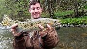 Ed Rainbow trout April, Slovenia fly fishing 2017